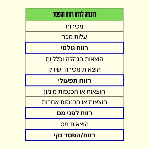 דוח רווח והפסד